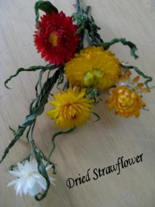 Flowers Forever Image